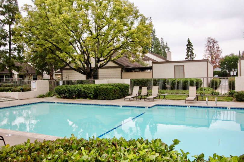 Swimming pool is in The Gables with seating chairs, trees and cutted bushes