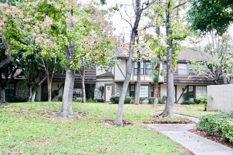 Fabulous view of trees with lawn near a villa in The Gables of La Habra
