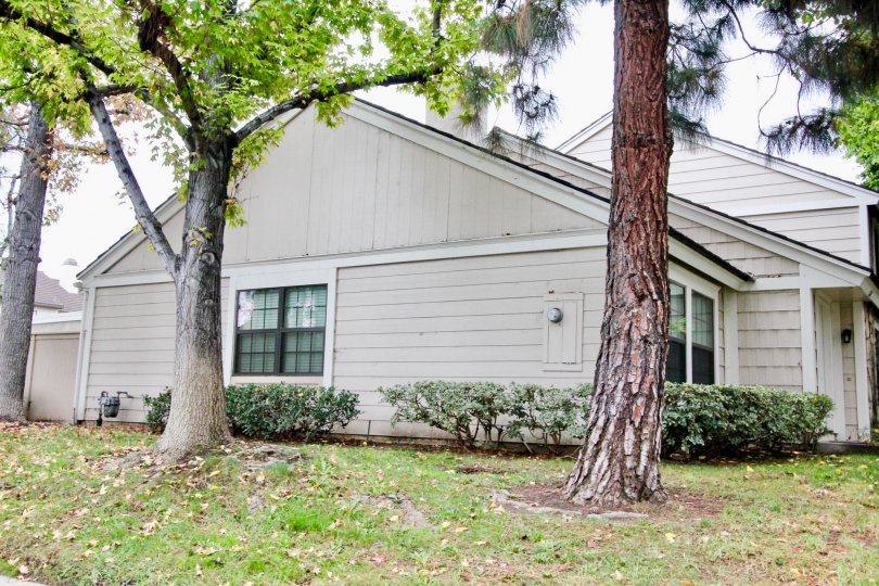 THE SIDE VIEW OF THE VILLA WITH LAWN, TREES PLANTS ARE LOCATED IN LA HABRA CITY