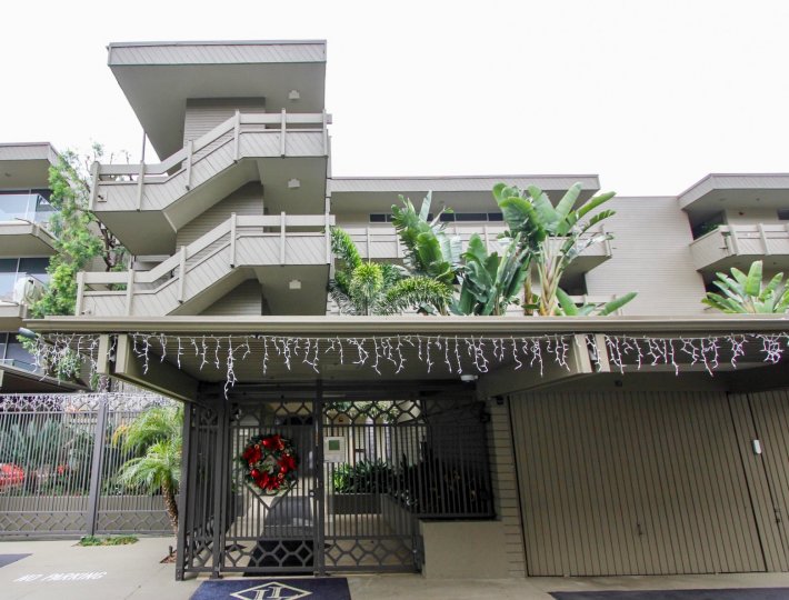 THE APARTMENTS IN THE LAGUNA LIDO WITH THE UPSTAIRS, BANANA TREE, FLOWER PLANTS