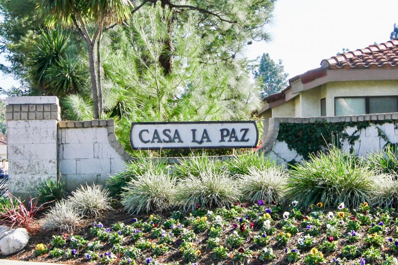 Casa La Paz homes are located in the coastal community of Laguna Niguel. Below are the homes for sale in Casa La Paz. Our Laguna Niguel Real Estate agents can guide you through the homes located in the Casa La Paz community of Laguna Niguel whether you ar