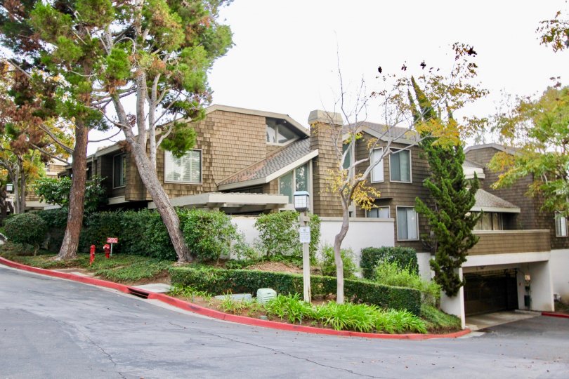 A great day in the Big Canyon McLain with some more trees and building.