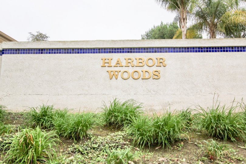 A sunny day in the Harbor Woods with a sign on the wall.