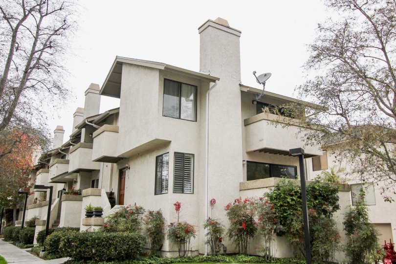 THE HOUSE IN THE HARBOR WOODS WITH THE DISH ANTENNA, FLOWER PLANTS, TREES