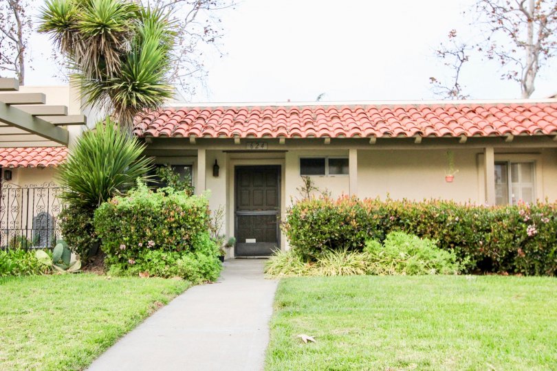 a warm day in the The Plaza with house that has roofless top and garden in front