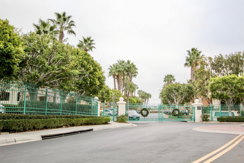 a pleasant day in the villa point with a gated community that has long steel compound and gate and also huge trees
