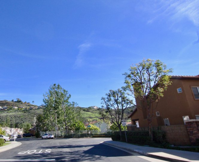 The Village Orange California with attractive blue sky look in a sunny day with cute trees