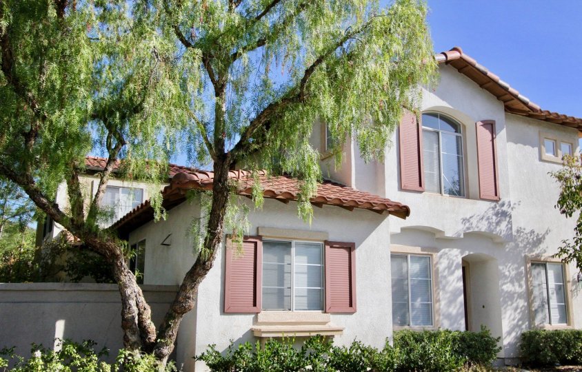 Tree and front face of home in Fiesta in Rancho Santa Margarita, CA
