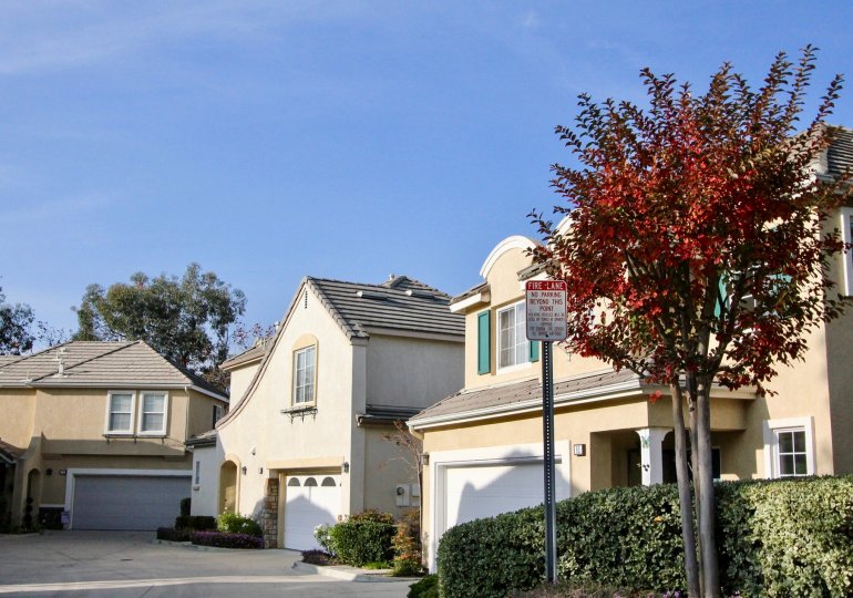 THE HOUSE IN THE MAGNOLIA WITH THE NO PARKING BOARD, PLANTS, TREES
