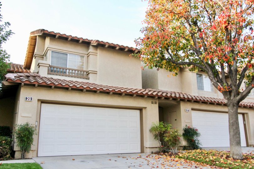 Fabulous view of trees with flowers near villa with parking in Tierra Linda of Rancho Santa Margarita