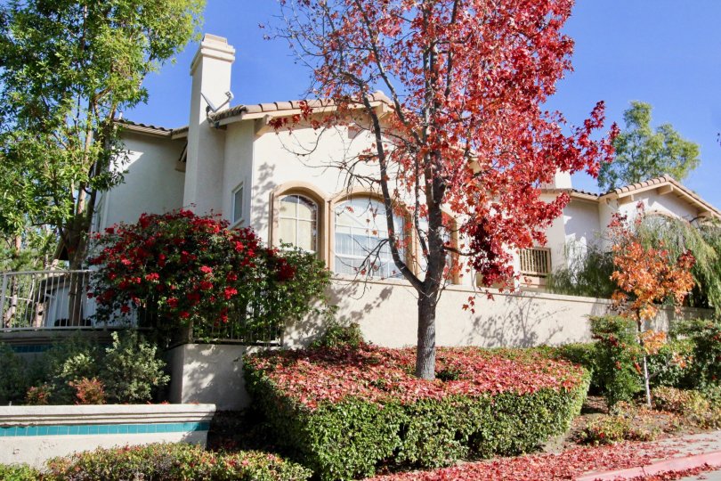 A sunny day by a gated house in the Tierra Montanosa area with trees, bushes, and other plants all around it