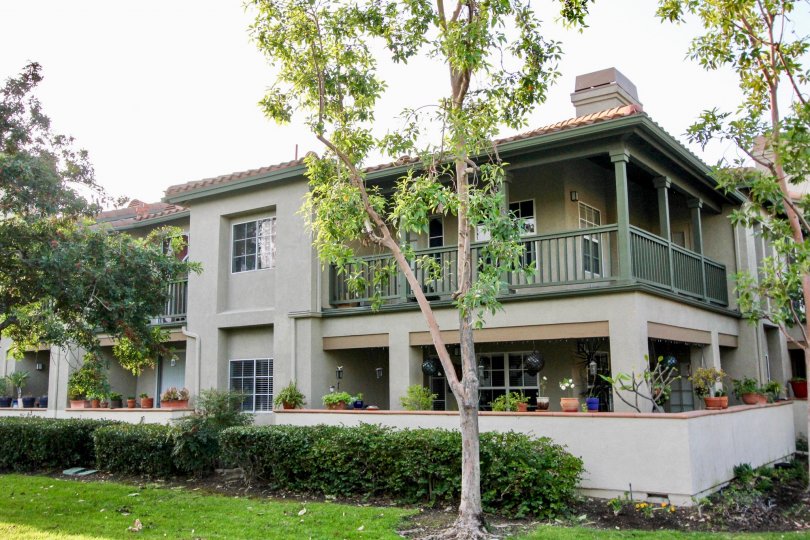 A sunny day in the area of Tijeras Creek Villas, condos, balcony, flowers, trees, windows, outside