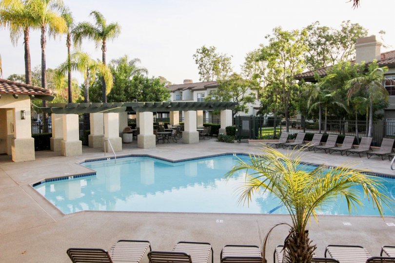 A view of the pool and lounge chairs and trees in the Tijeras Creek Villas community in Rancho Santa Margarita, CA