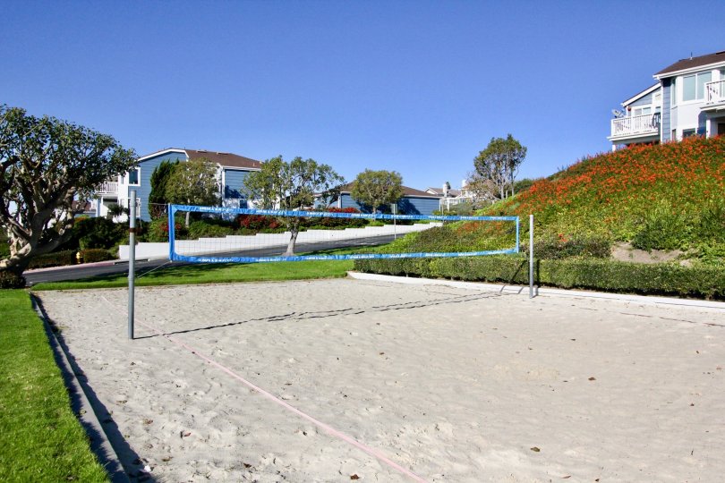 THE APARTMENT IN THE FAIRE HARBOUR WITH THE NET, GROUND, PLANTS, TREES