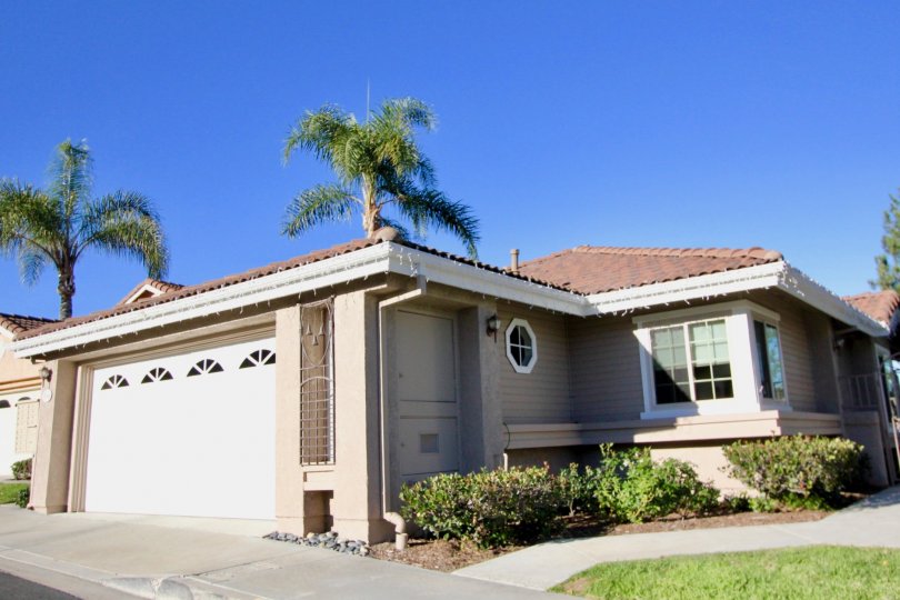A sunny day by a Loma Vista house with palm trees behind it and bushes on one side