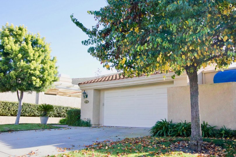 A sunny day by a house in the Mesa Verde area with a garage and trees on each side of the driveway