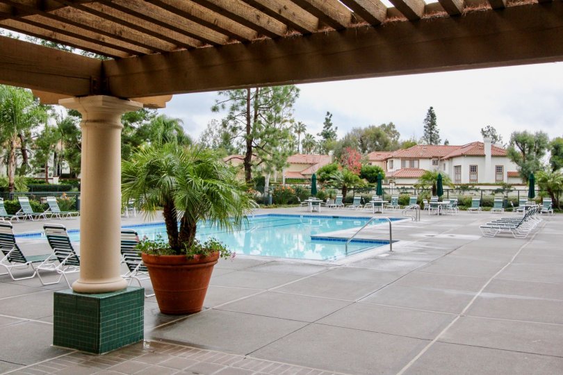 A sunny day in the area of Corte Villa, poolside, water, chairs, palm trees, deck