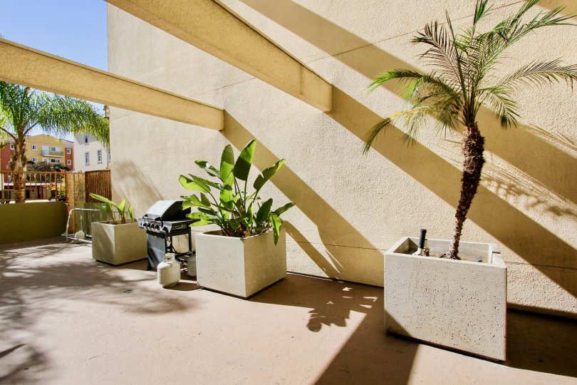 The patio area, including plants and a grill, at Campus Walk in College Area, Californa.