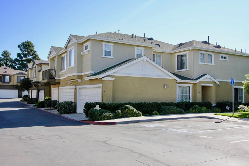 Orange Walk  , College Area , California, trimmed bushes,road