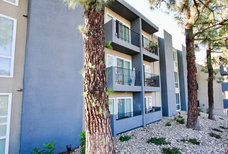 Three story residential building next to pine trees at Tuscany Place in College Area California