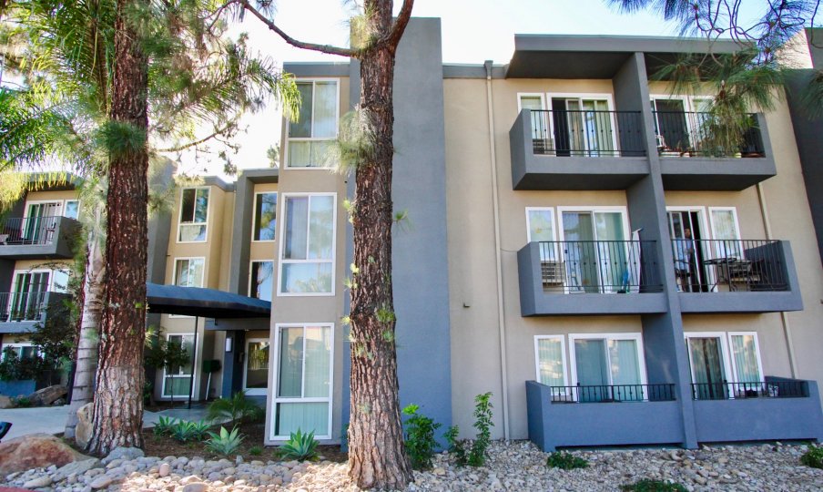 Tuscany Place ,College Area  , California, apartment,trees,stones