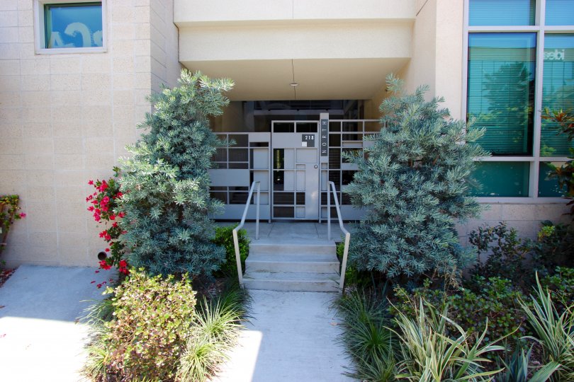 Interesting security gate flanked by whimsical topiaries in a shady pocket of Downtown San Diego.
