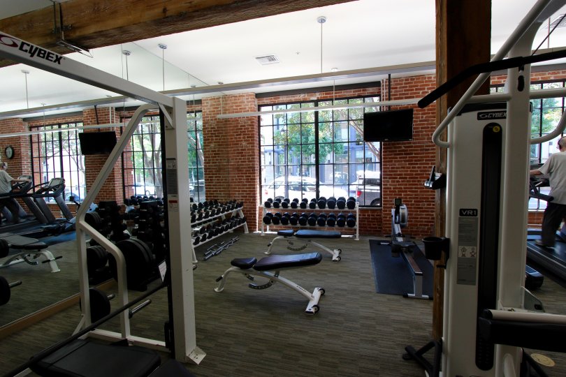 A row of barbells sits on a rack in a fitness room at Cityfront Terrace