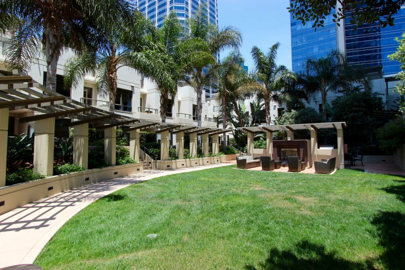 Palm trees line the walkway around the green space at Electra.
