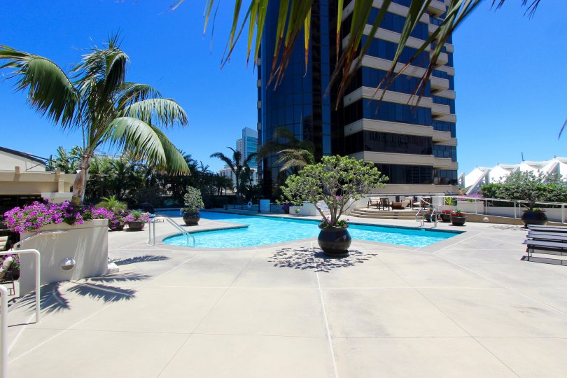 Pam trees ant potted plants sit on the patio at Harbor Club condos