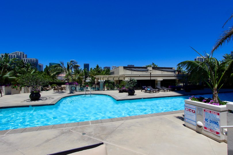 Hat style swimming pool with big flower pots in harbor Club.