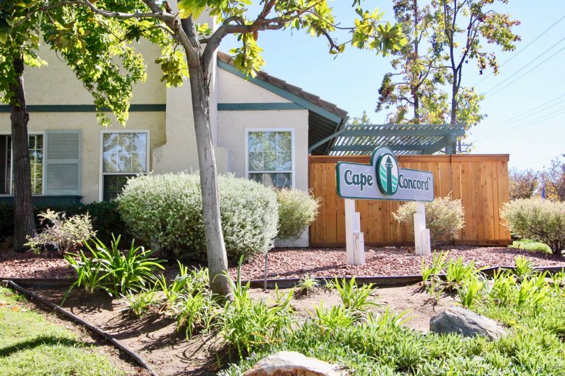 Cape Concord,: Escondido ,: California,blue sky,trees