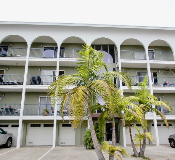 THE APPARTMENTS ARE BEAUTIFUL AND THE COCONUT TREE IS VERY CUTE WITH FRONT OF CARS