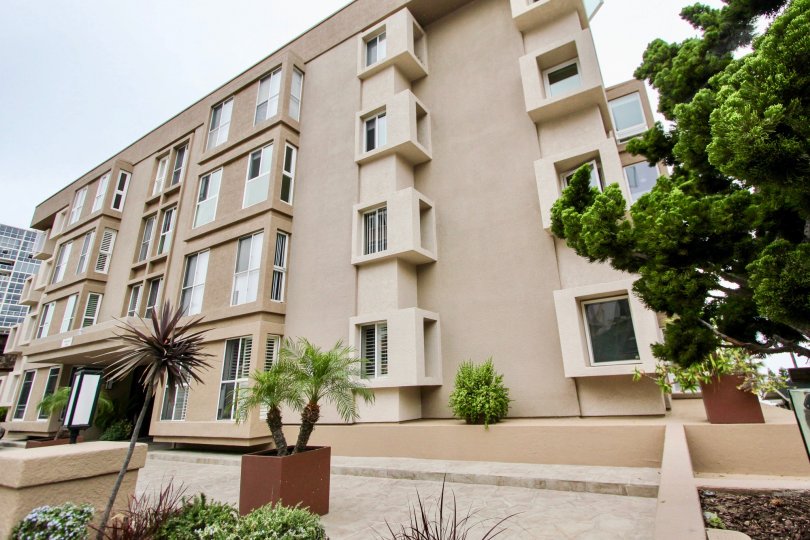 THE APARTMENT IN THE SHOREPOINT WITH THE WINDOWS, TREES, PLANTS, PATHWAY
