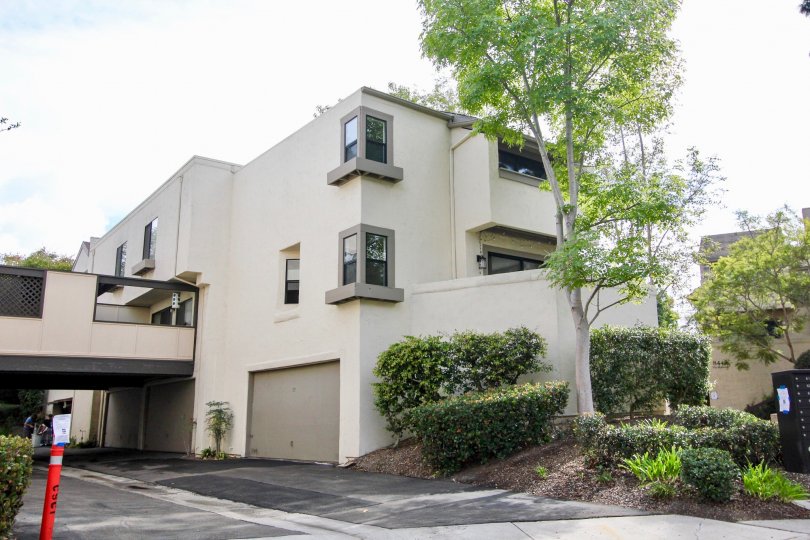 THE APARTMENT IN THE WOODLANDS WEST I WITH THE THAR ROAD, FLOWER POT, TREES, PLANTS