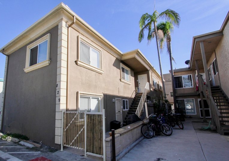 This shows the house and two coconut trees and the bicycles are there and wooden door were placed in the city of Mission Beach