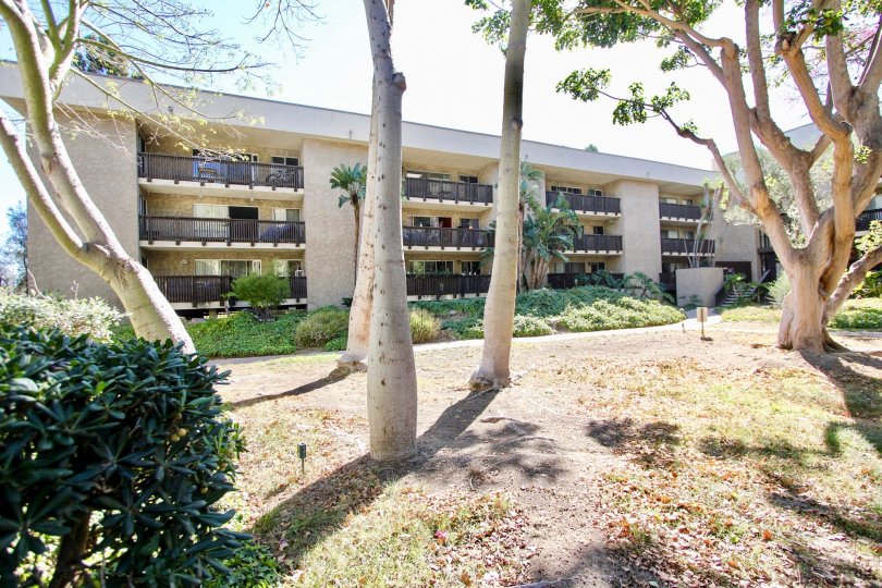 Warm sunshine at the bluffs community at Mission Valley in California