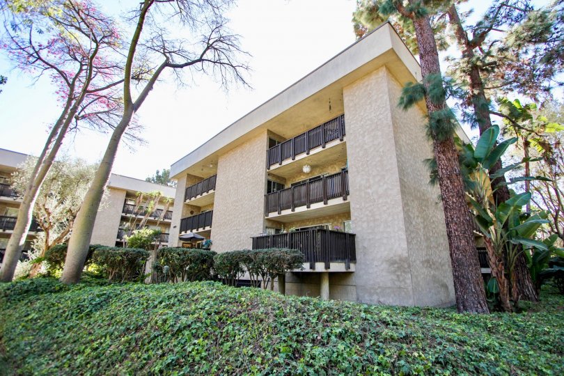 Outside view of The Bluffs building in Mission Valley, CA. Shrubs and trees surround the 3-story building. Another building in the background.