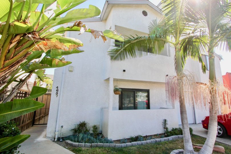 Marvellous House with Banana tree plantation in front of the house with car parking on sunshine day in A2I Condominiums of Normal Heights city