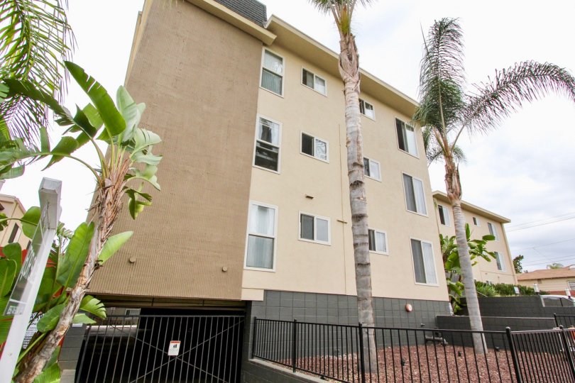 The exterior of the three story Louisiana Condominiums with palm tree landscaping and below structure parking.