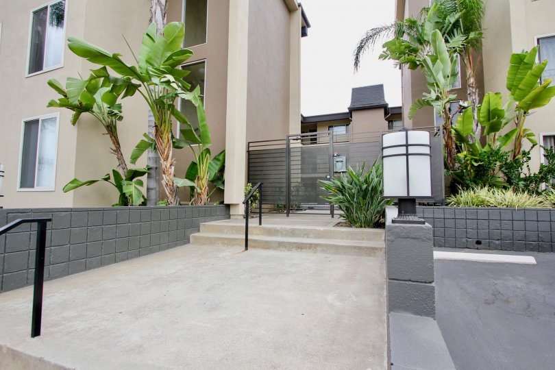 A sunny day in the area of Louisiana Condominiums, palm tree, condo, windows, fence