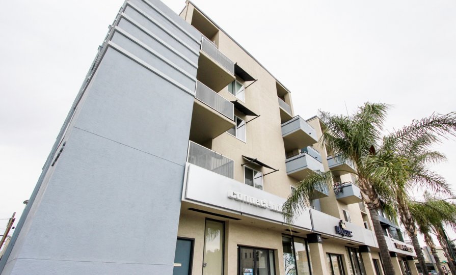 A sunny day in the area of Palisade Gardens, palm trees, high rise, condo, balcony