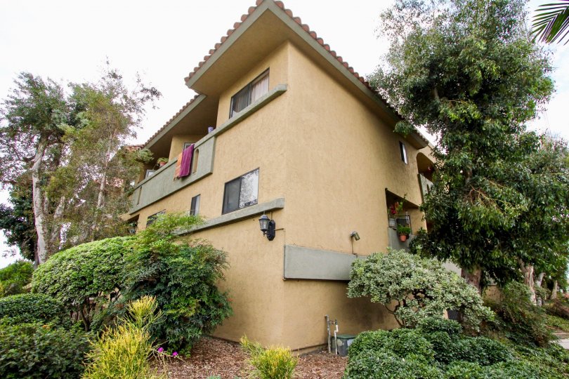 The exterior of Spanish Oaks I is llush with green trees and shrubs