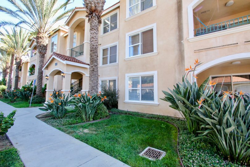 Orange tinted villa in Oceanside, California with palm trees and other plants.