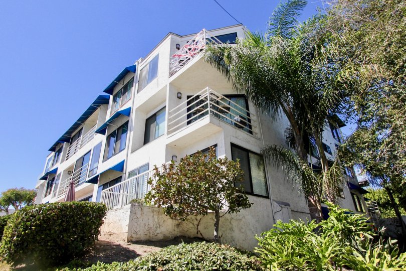A sunny day at Santa Mariana in Pacific Beach, CA.