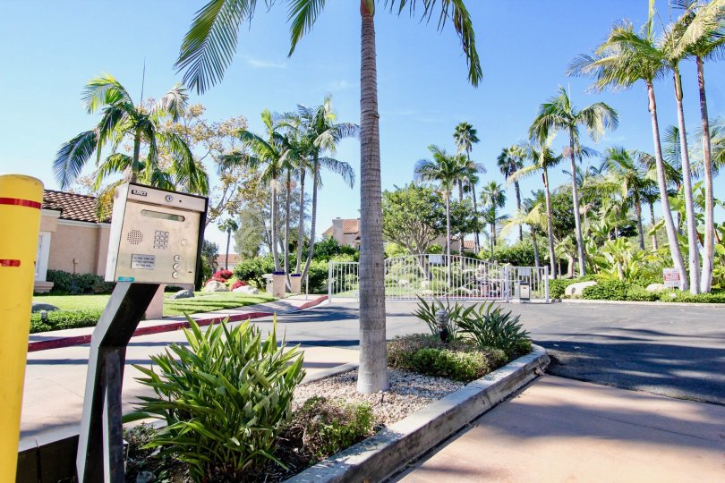 Intercom near a lot of palm trees at Masters Hill in Rancho Bernardo CA
