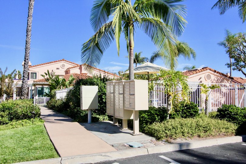 Metal boxes and plants at Masters Hill in Rancho Bernardo California