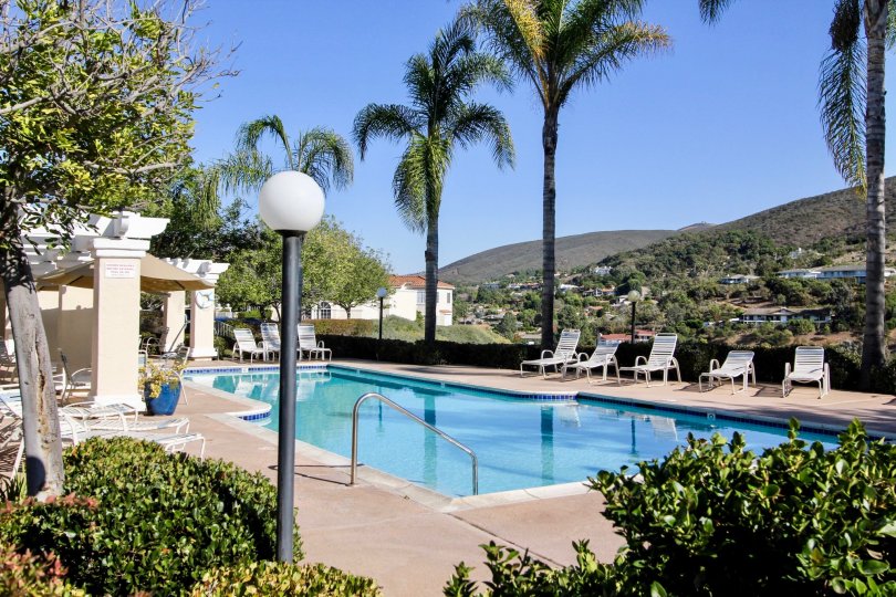 Private swimming pool ringed by tall mature palms and an unobstructed view of the area in San Marcos