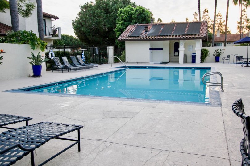 Las Palmas Apartments in University City, California, Outdoor Pool