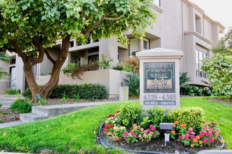 Charming signage and landscaping at University Towne Square in University City, California.