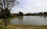 The shore by the lake at Lake Village